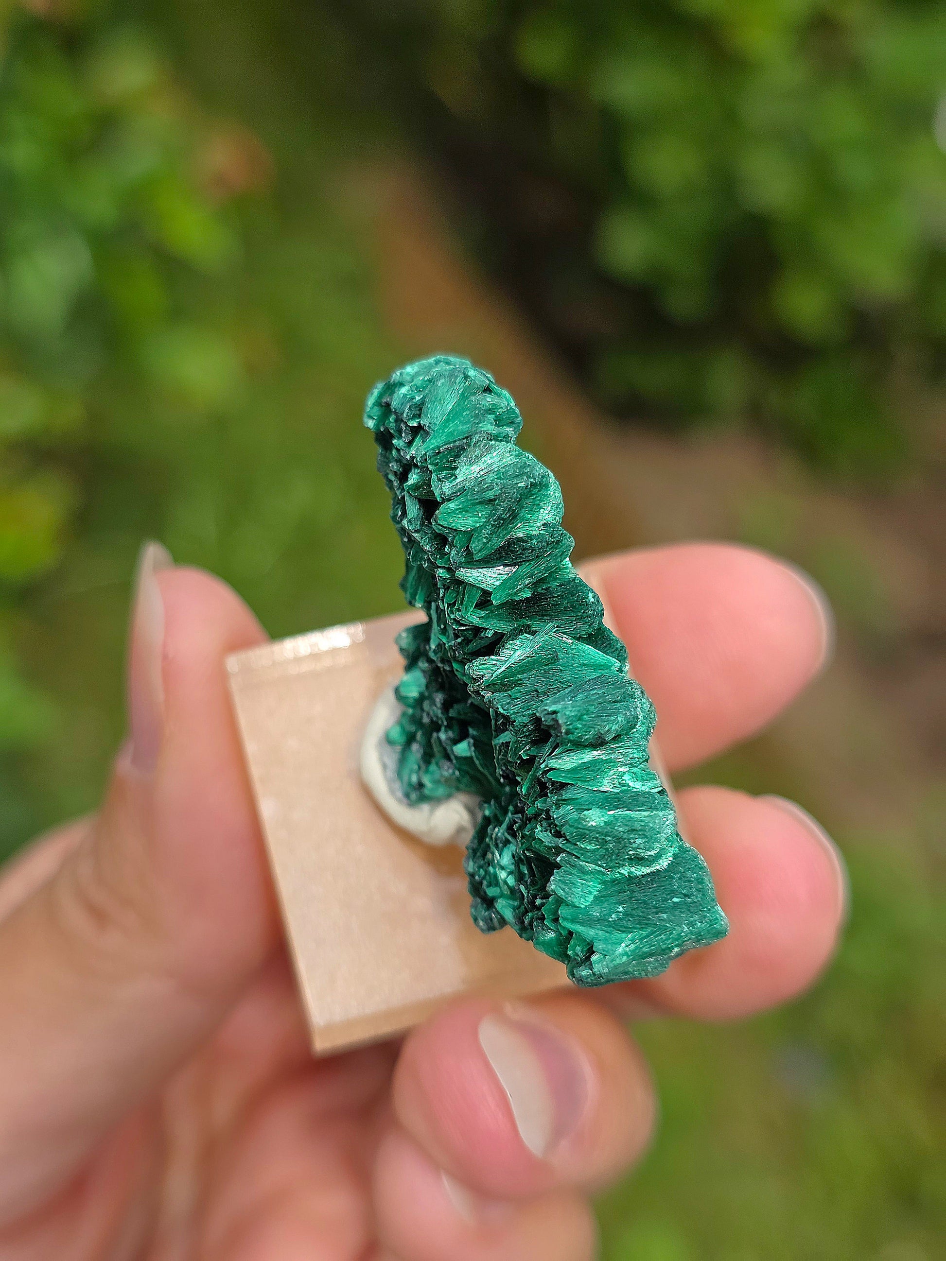 Malachite brute du Congo sur socle