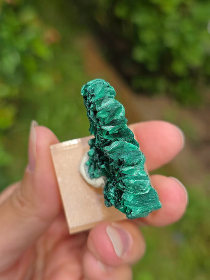 Malachite brute du Congo sur socle