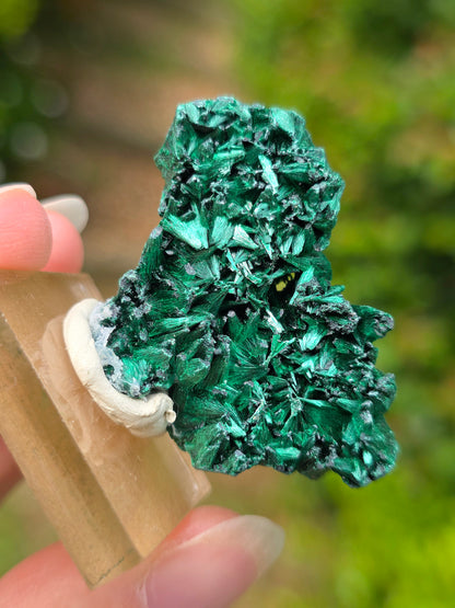 Malachite brute du Congo sur socle