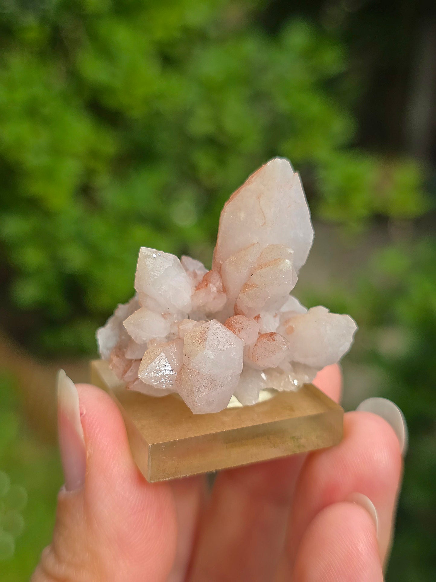 fleur de Quartz rose du Maroc