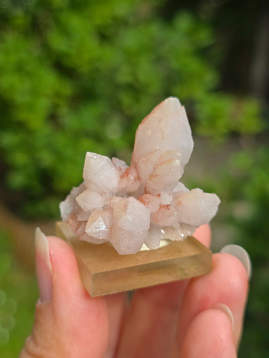 fleur de Quartz rose du Maroc