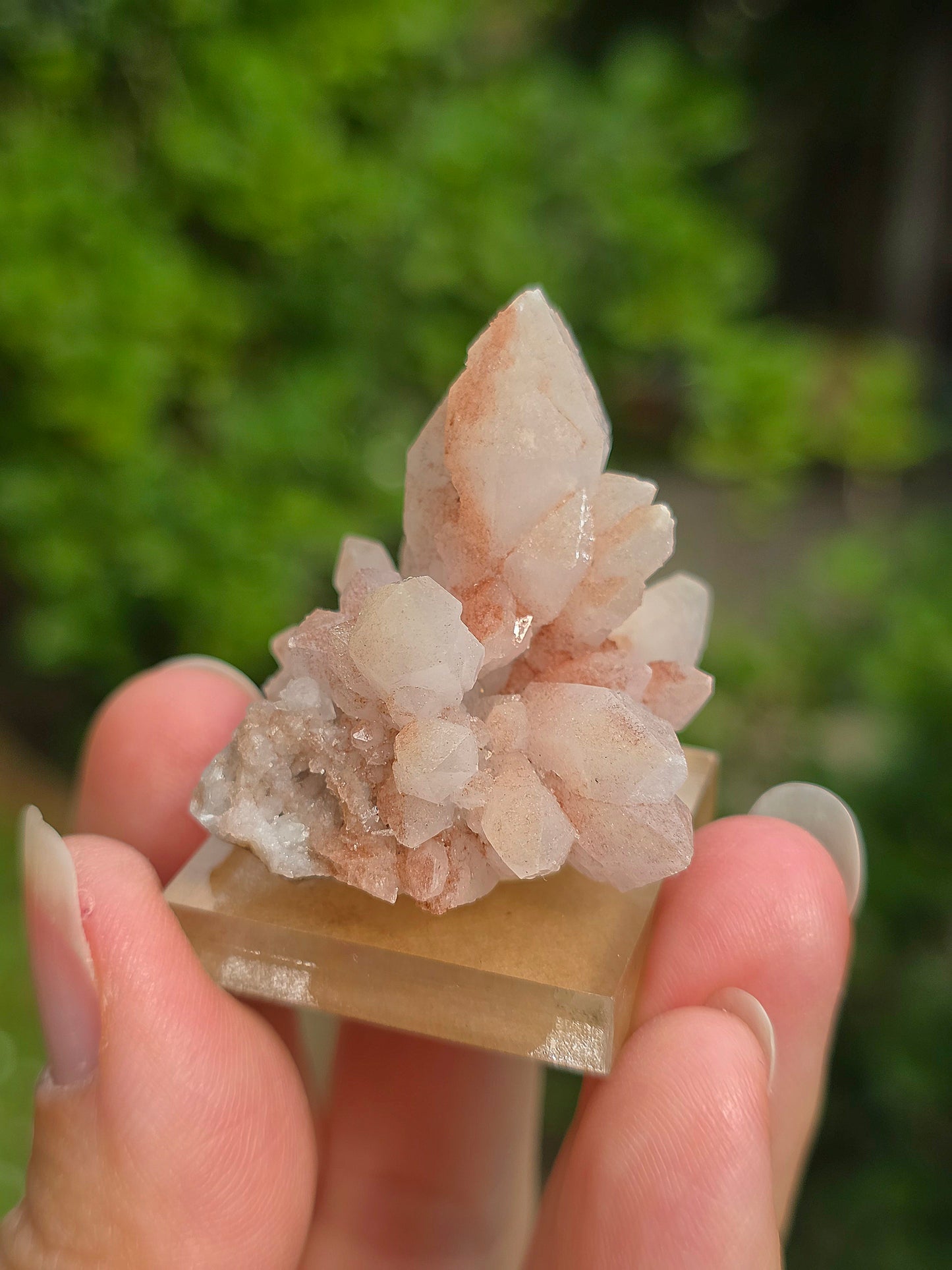 fleur de Quartz rose du Maroc