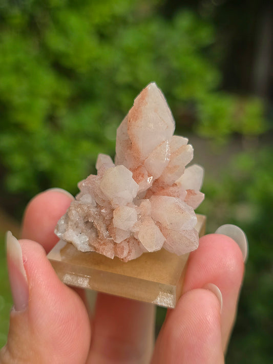fleur de Quartz rose du Maroc