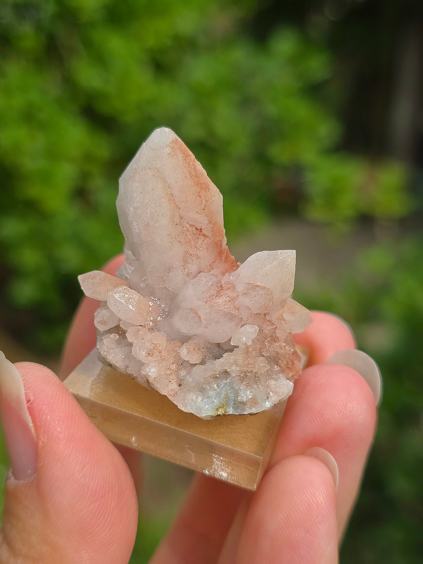 fleur de Quartz rose du Maroc