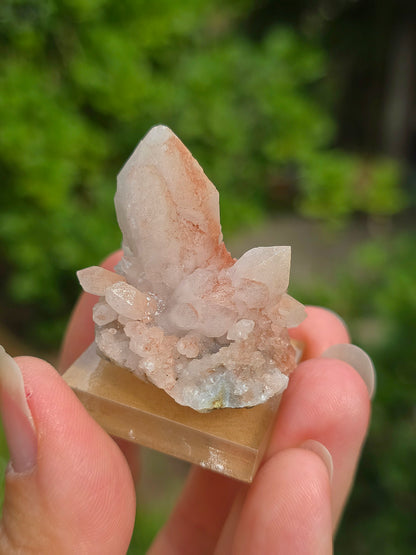 fleur de Quartz rose du Maroc