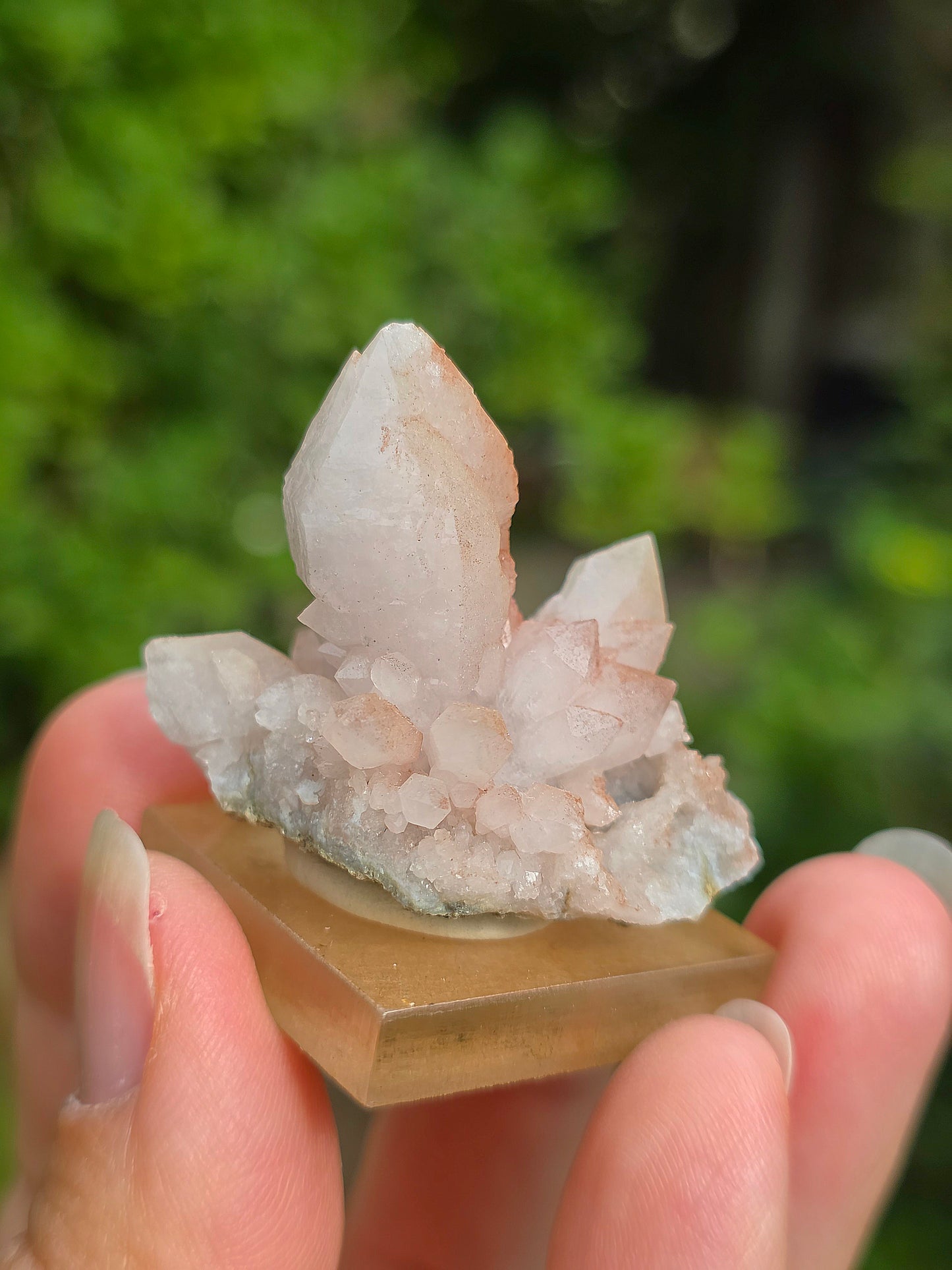 fleur de Quartz rose du Maroc