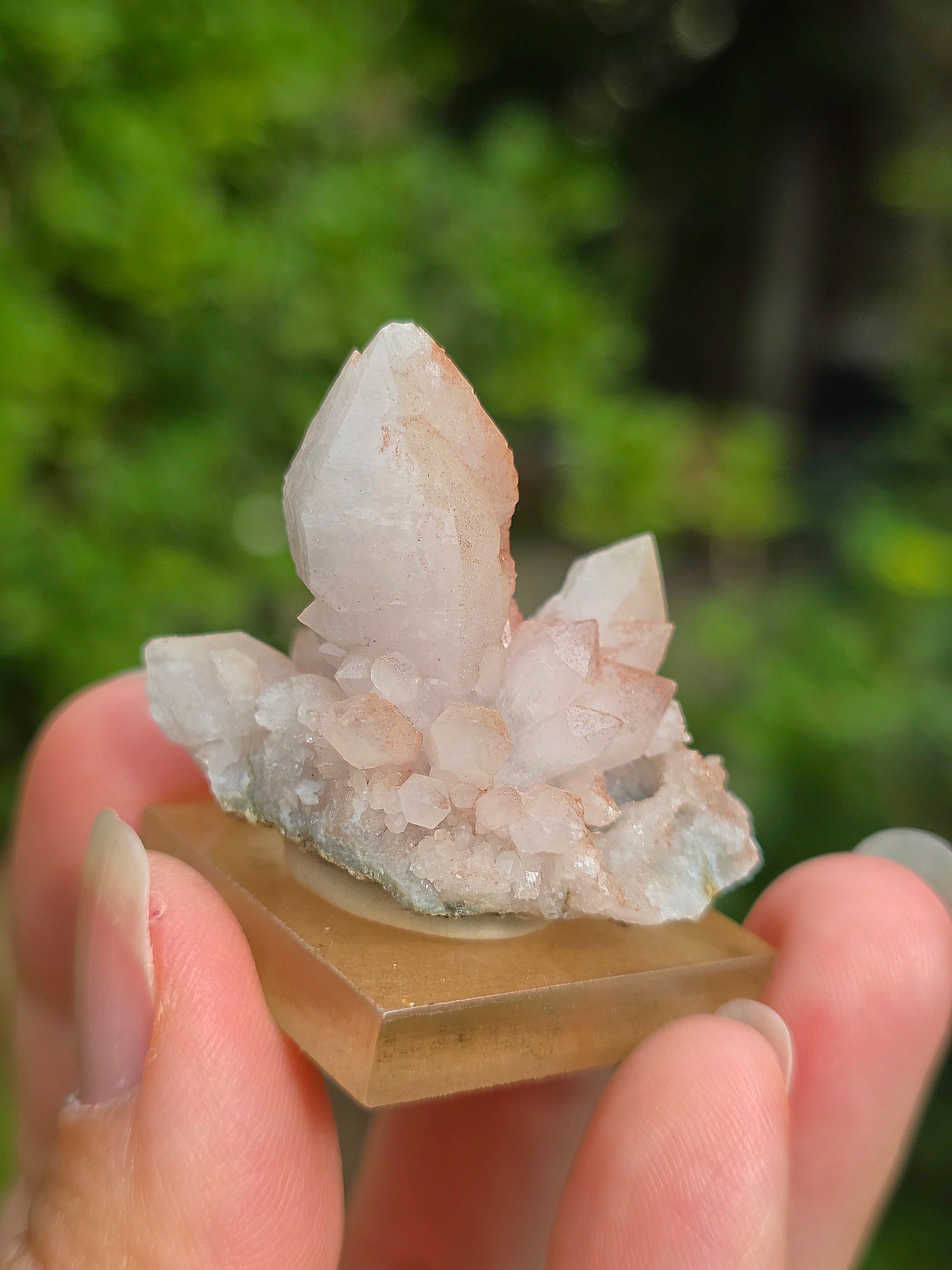 fleur de Quartz rose du Maroc