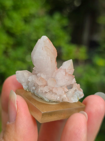 fleur de Quartz rose du Maroc