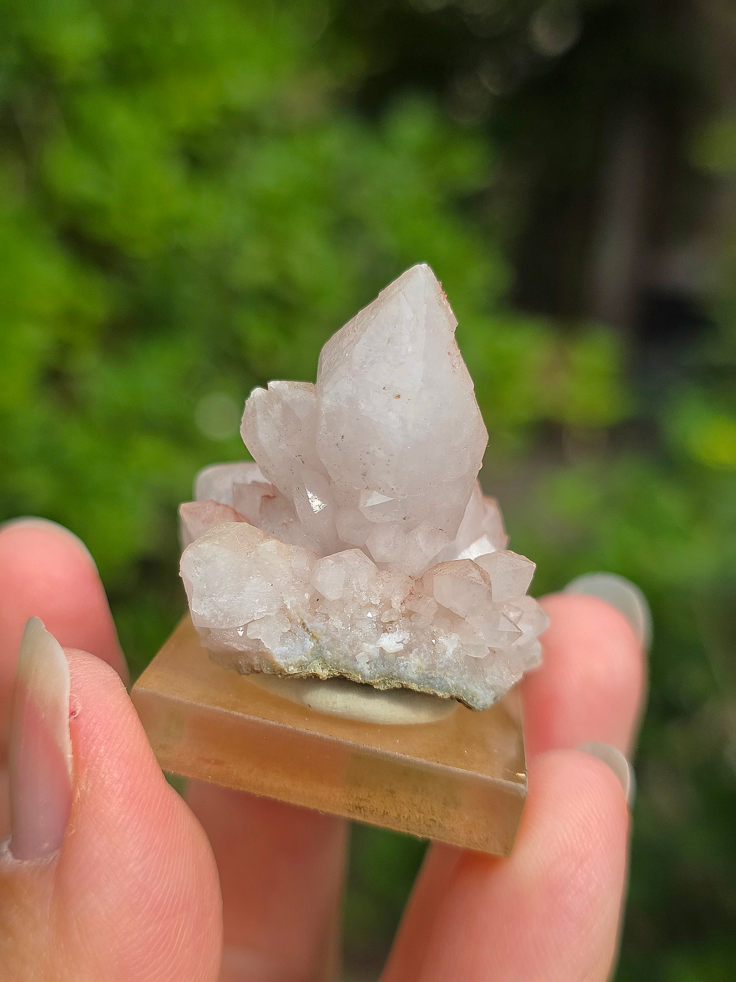 fleur de Quartz rose du Maroc