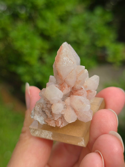fleur de Quartz rose du Maroc