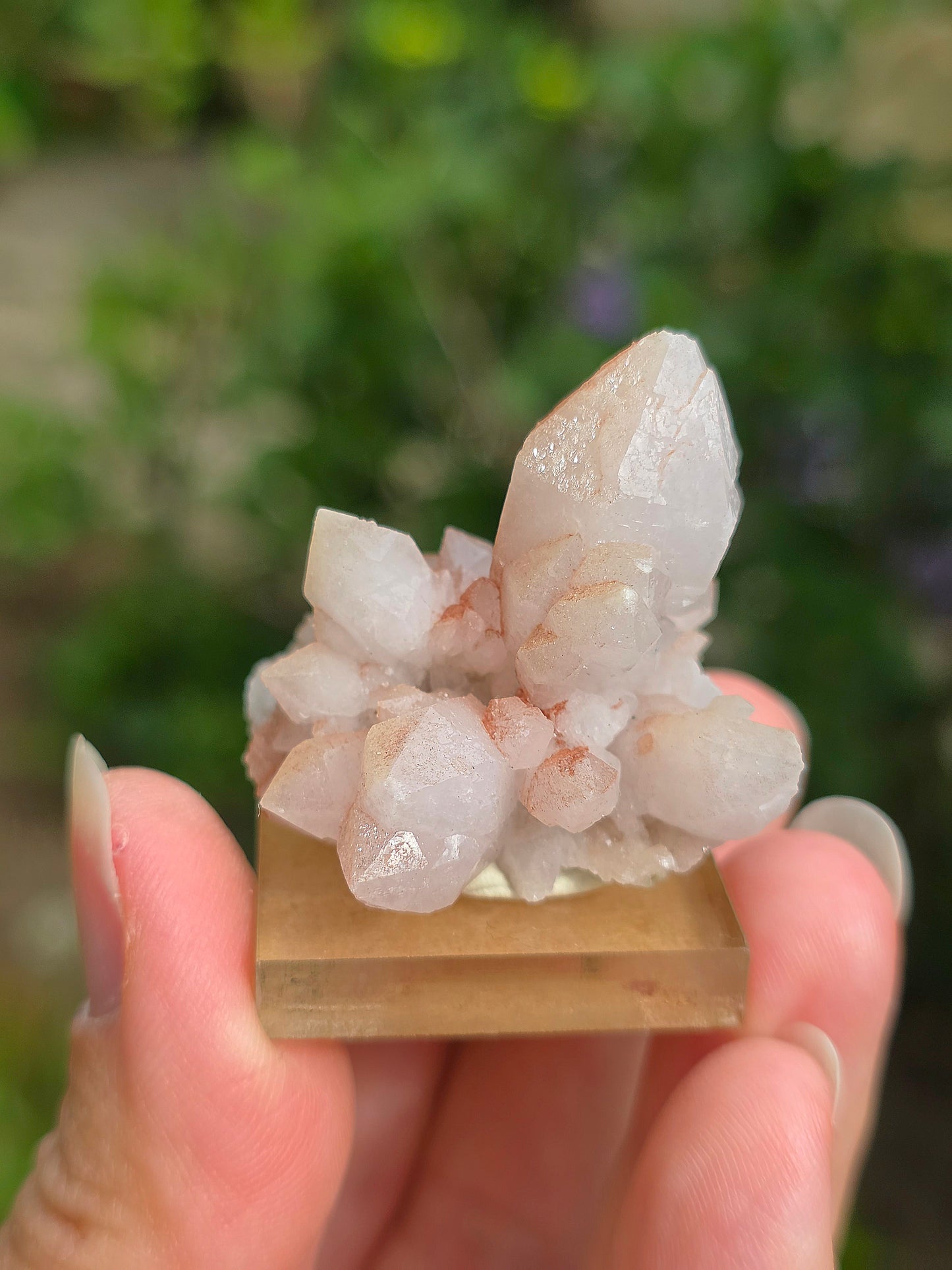 fleur de Quartz rose du Maroc
