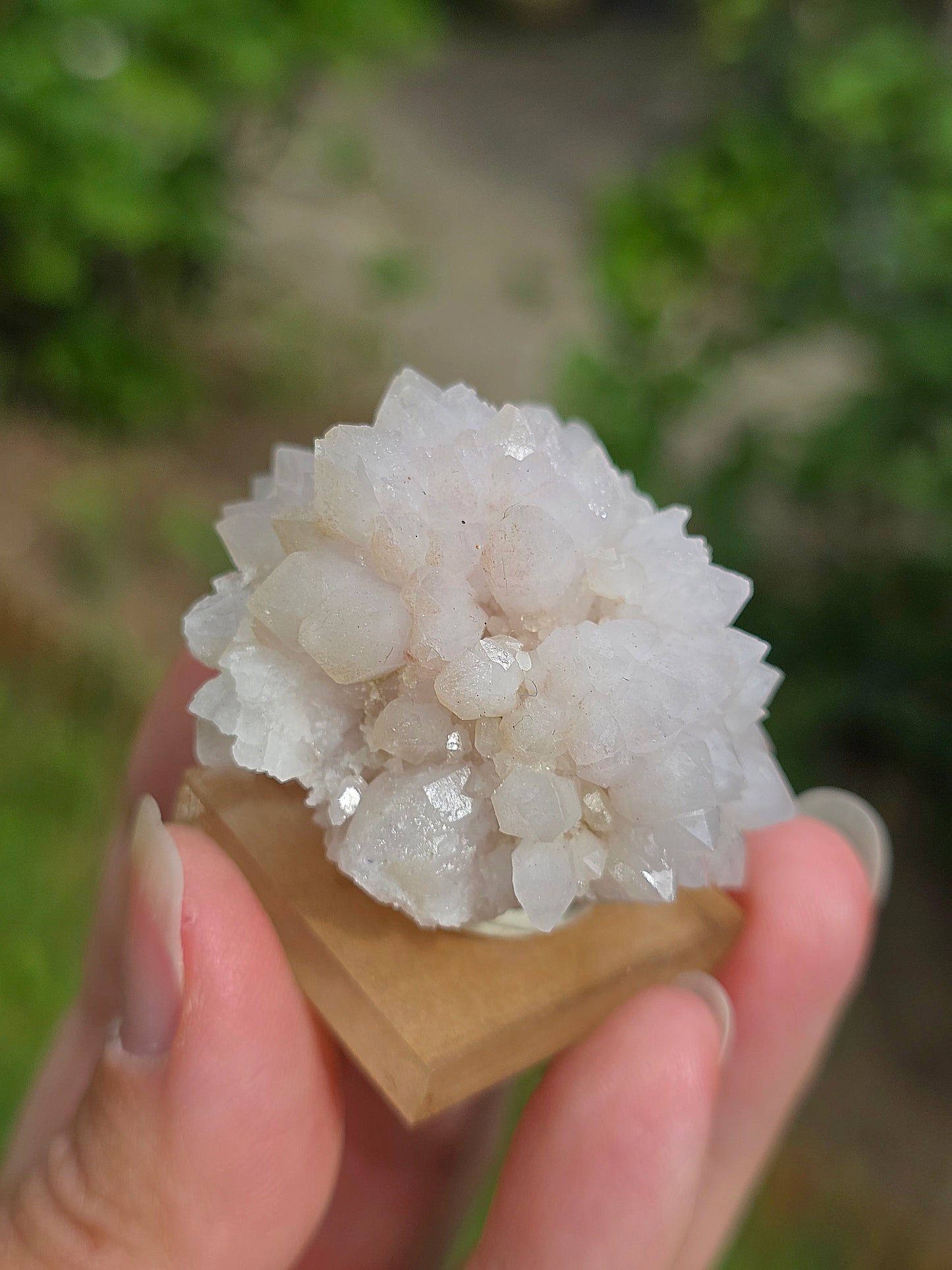 Fleur de Quartz rose du Maroc