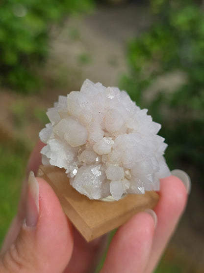 Fleur de Quartz rose du Maroc