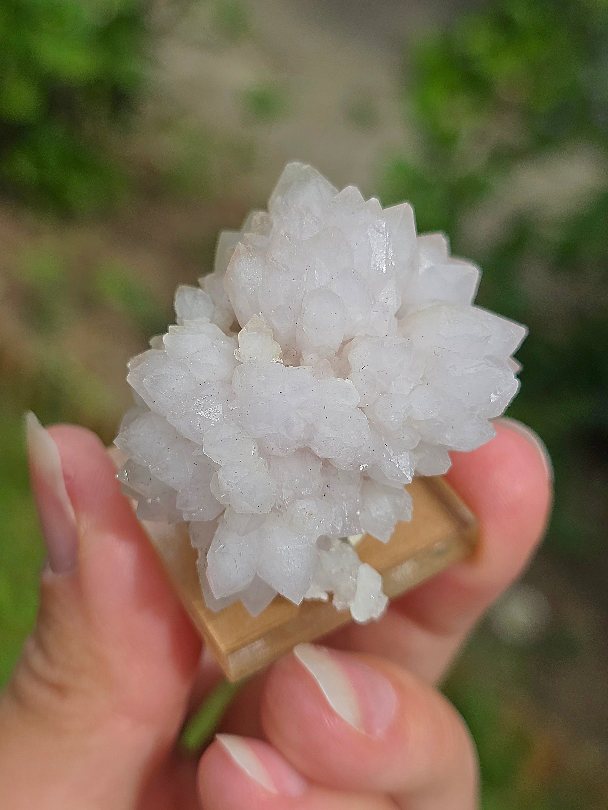 Fleur de Quartz rose du Maroc