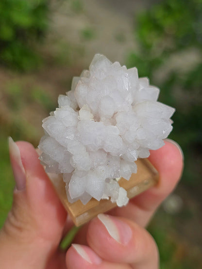 Fleur de Quartz rose du Maroc
