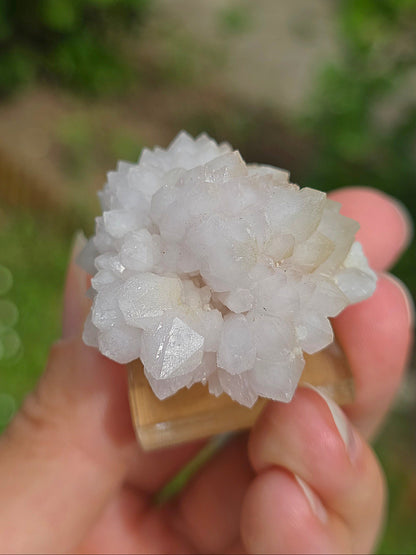 Fleur de Quartz rose du Maroc