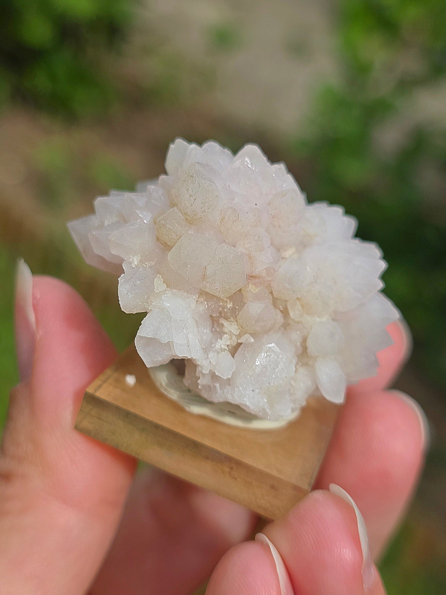 Fleur de Quartz rose du Maroc