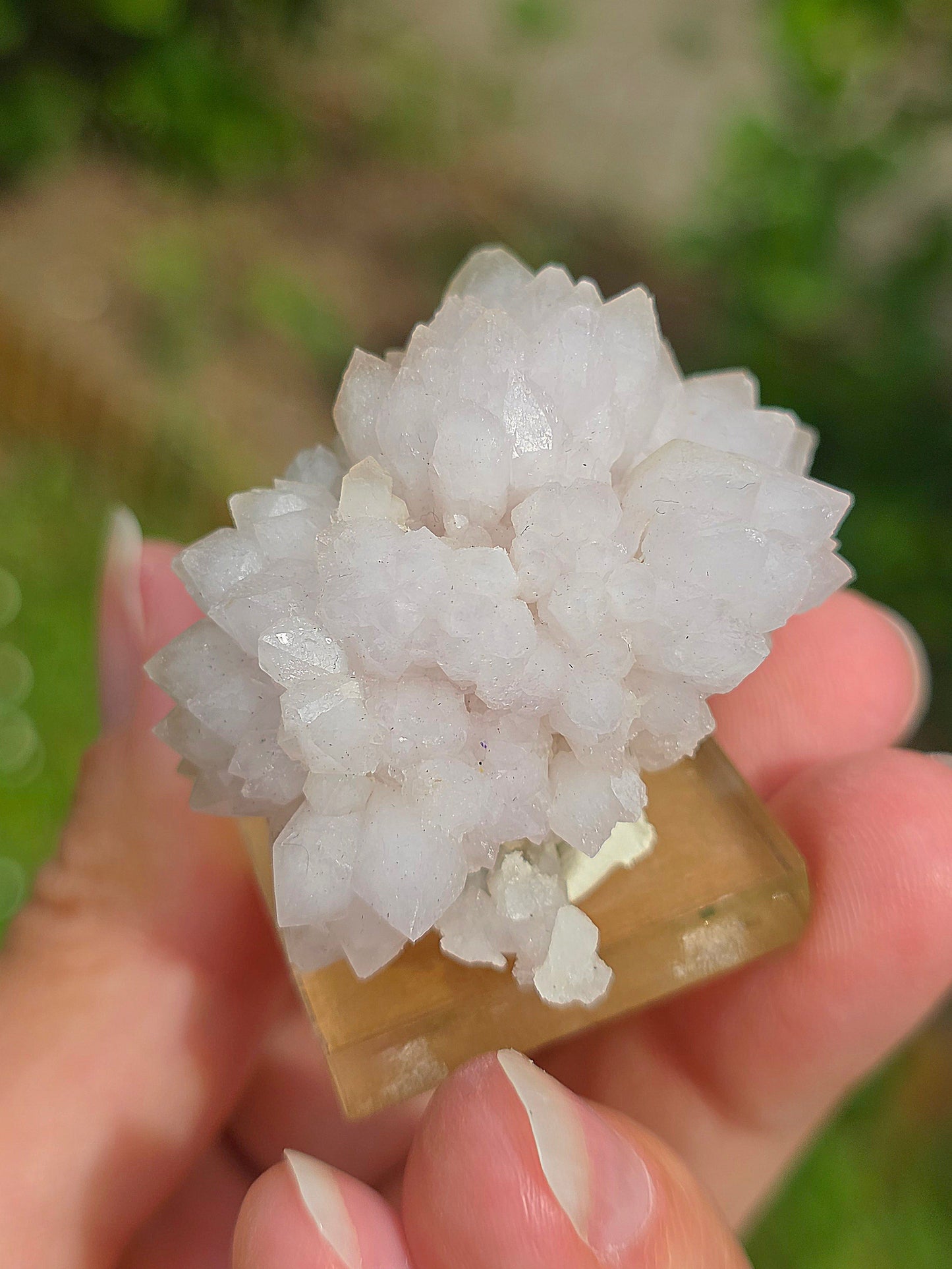 Fleur de Quartz rose du Maroc