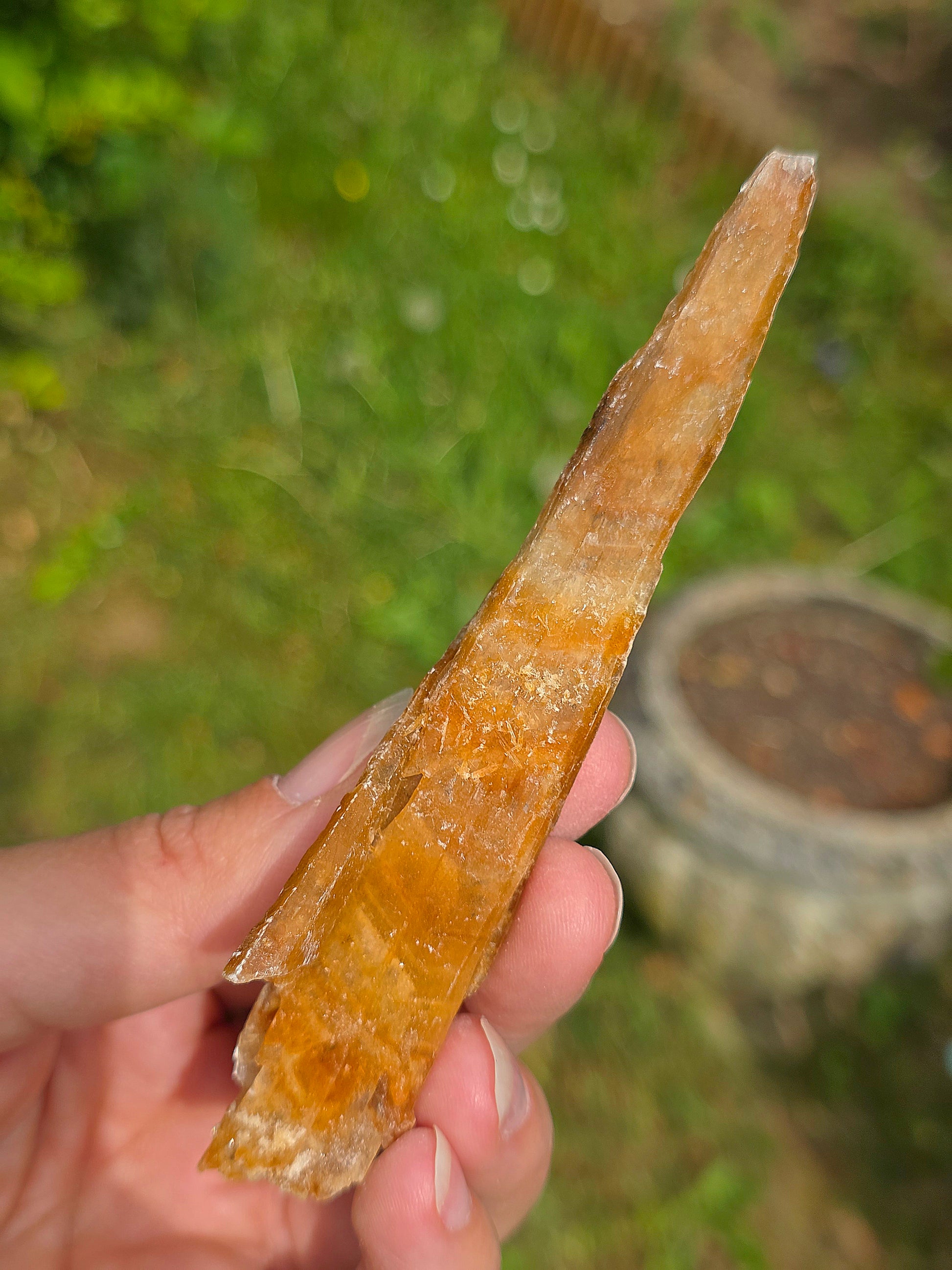 Gypse d'Australie brut