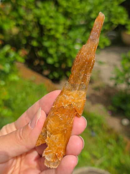 Joli Gypse d'Australie brut