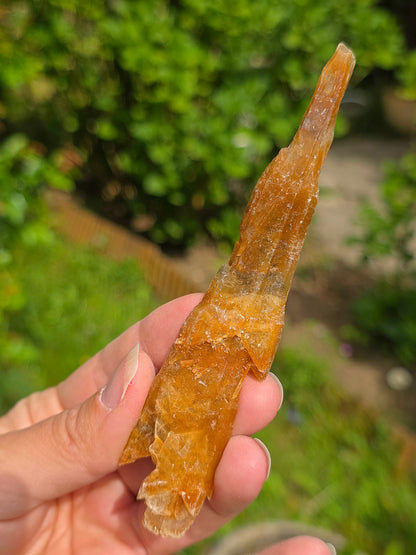 Joli Gypse d'Australie brut