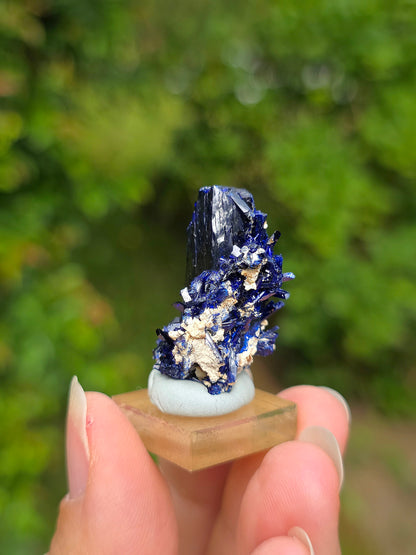 Cristal d'Azurite brute du Maroc
