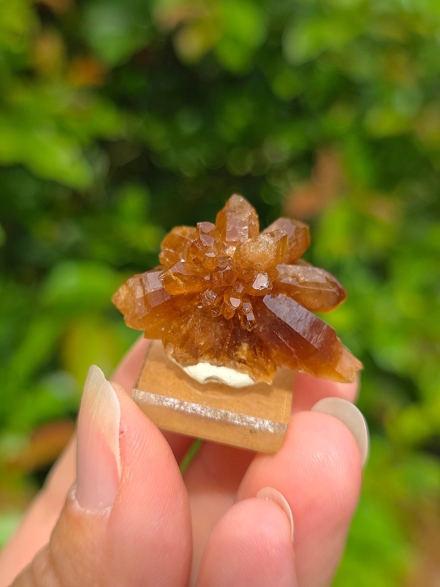 Quartz "citrine" ou "fleur de citrine" du Maroc 