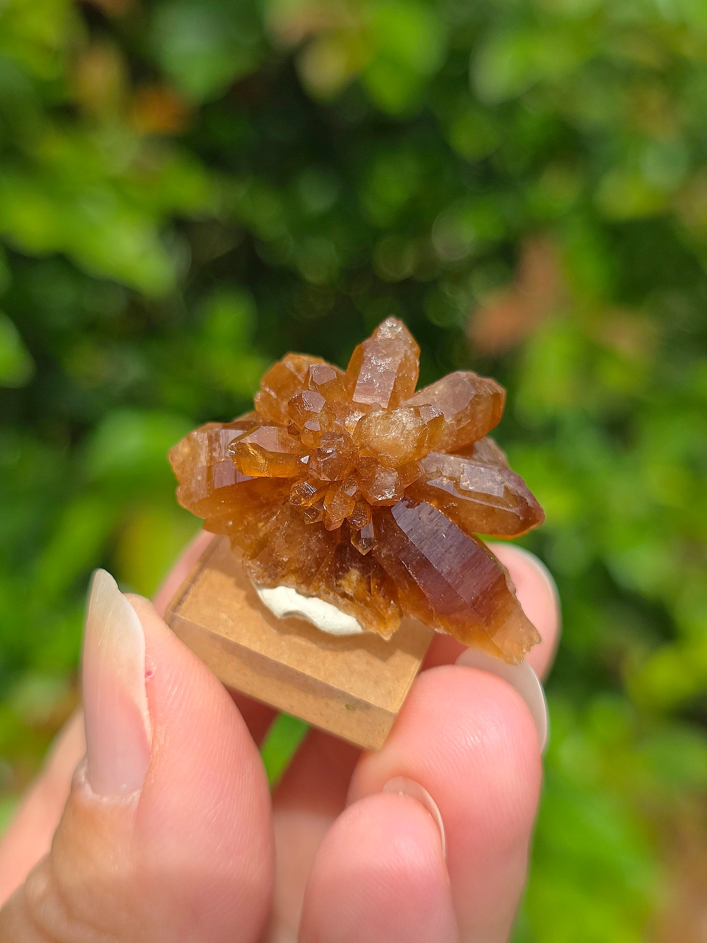  Quartz "citrine" ou "fleur de citrine" du Maroc 