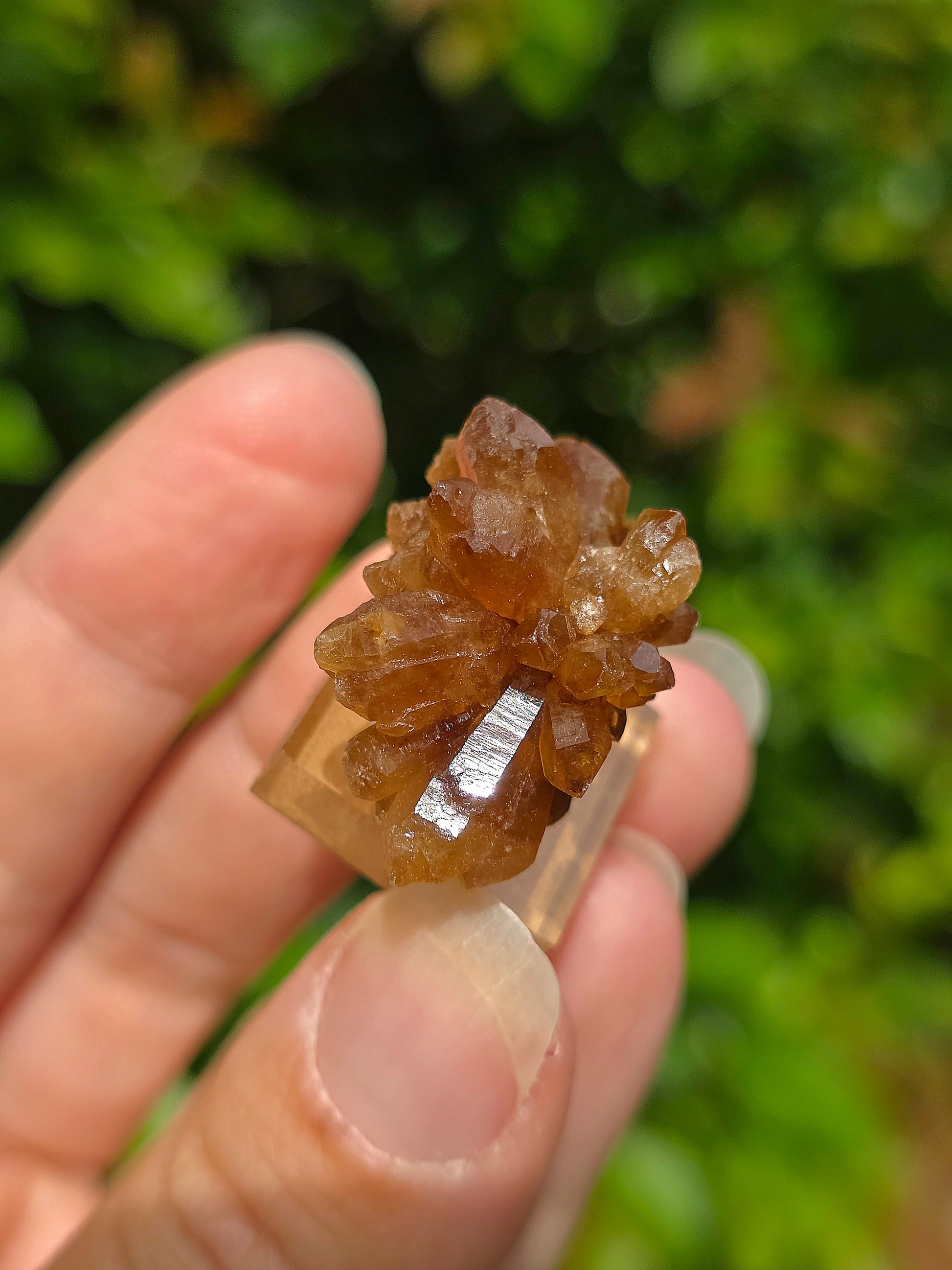  Quartz "citrine" ou "fleur de citrine" du Maroc 