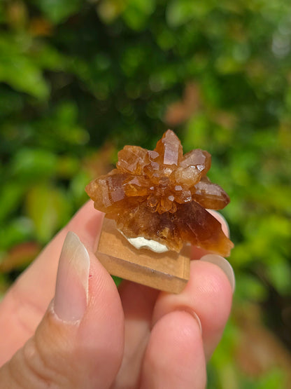  Quartz "citrine" ou "fleur de citrine" du Maroc 