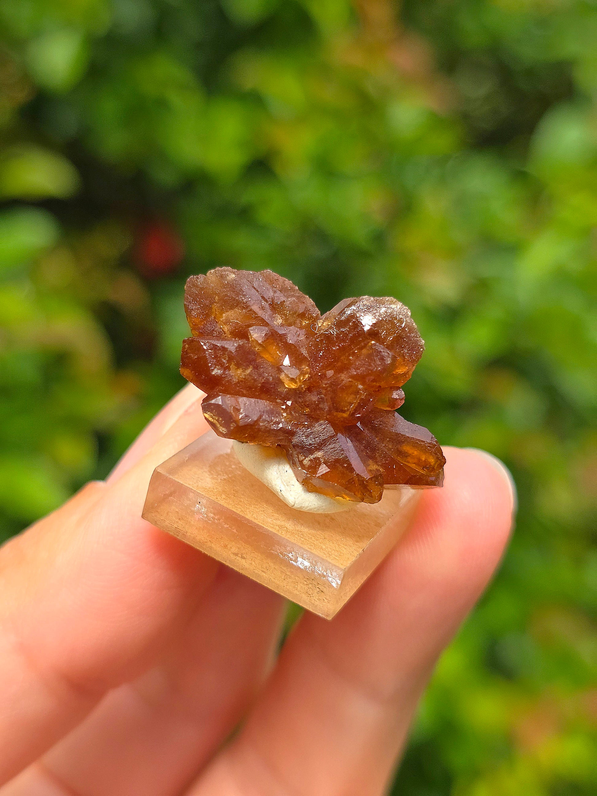 Quartz "citrine" ou "fleur de citrine" du Maroc