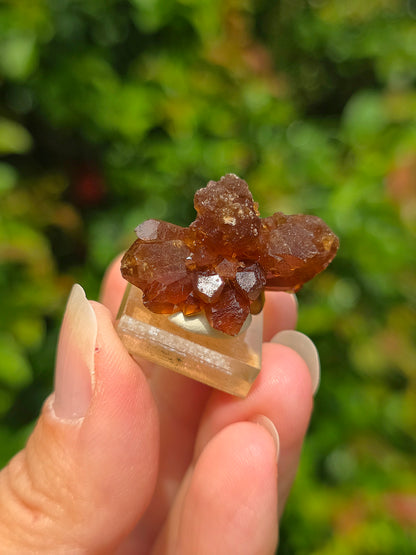 Quartz "citrine" ou "fleur de citrine" du Maroc