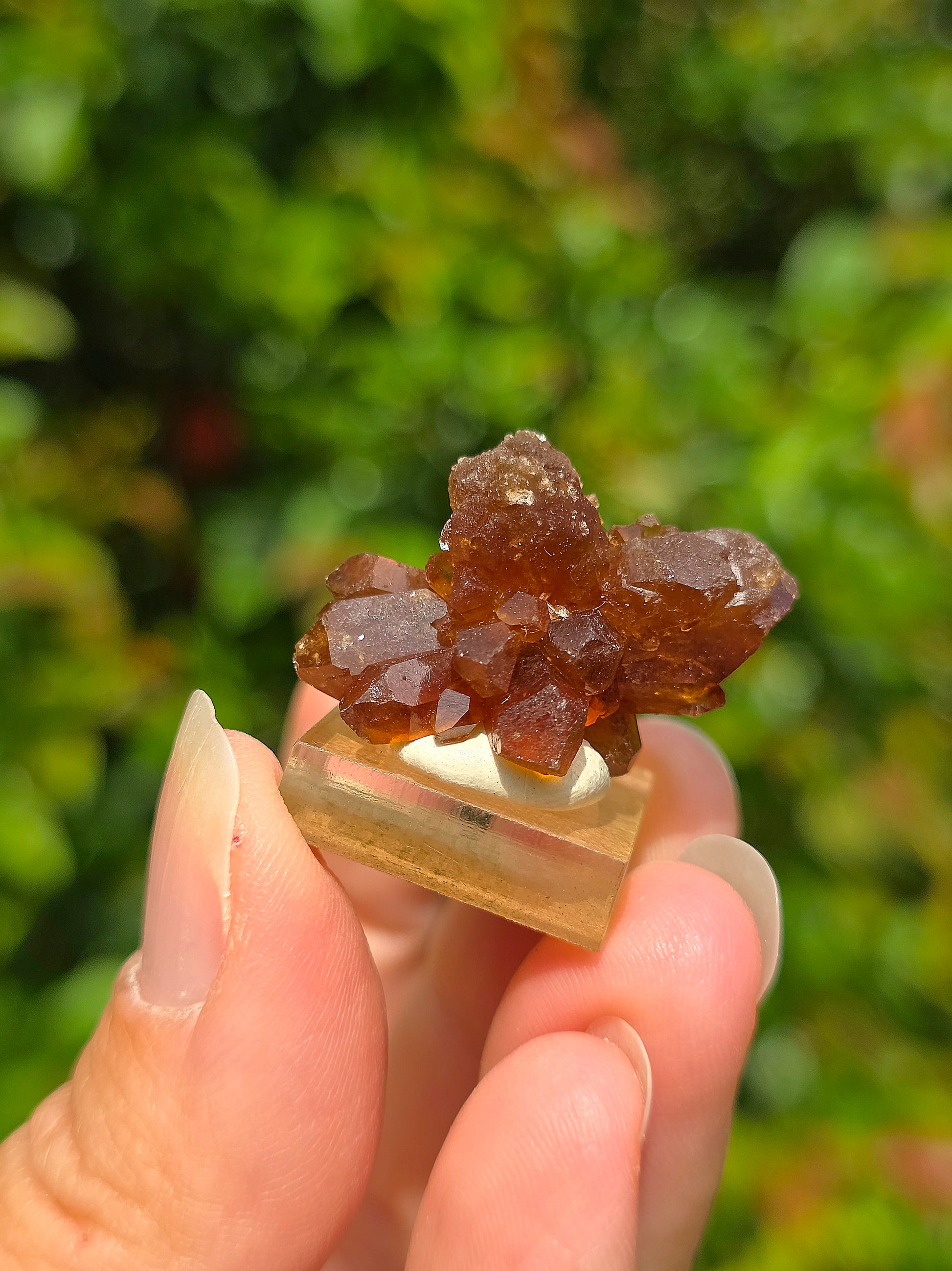 Quartz "citrine" ou "fleur de citrine" du Maroc