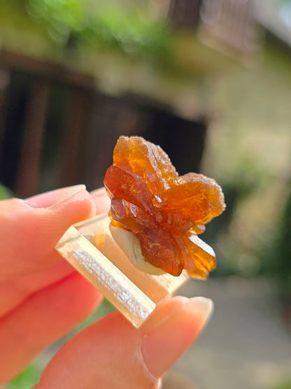 Quartz "citrine" ou "fleur de citrine" du Maroc