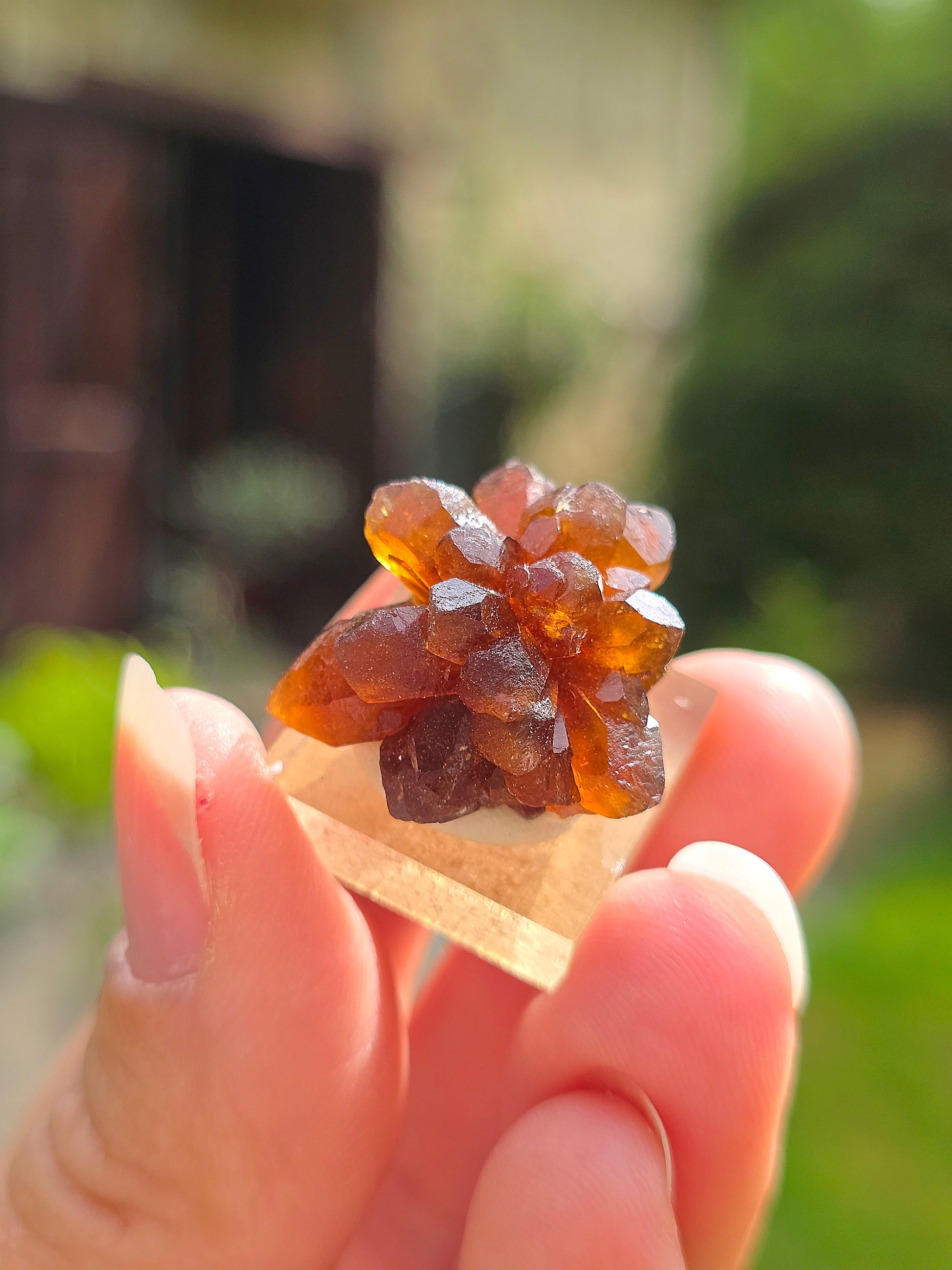 Quartz "citrine" ou "fleur de citrine" du Maroc