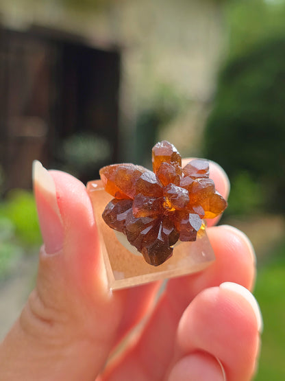 Quartz "citrine" ou "fleur de citrine" du Maroc