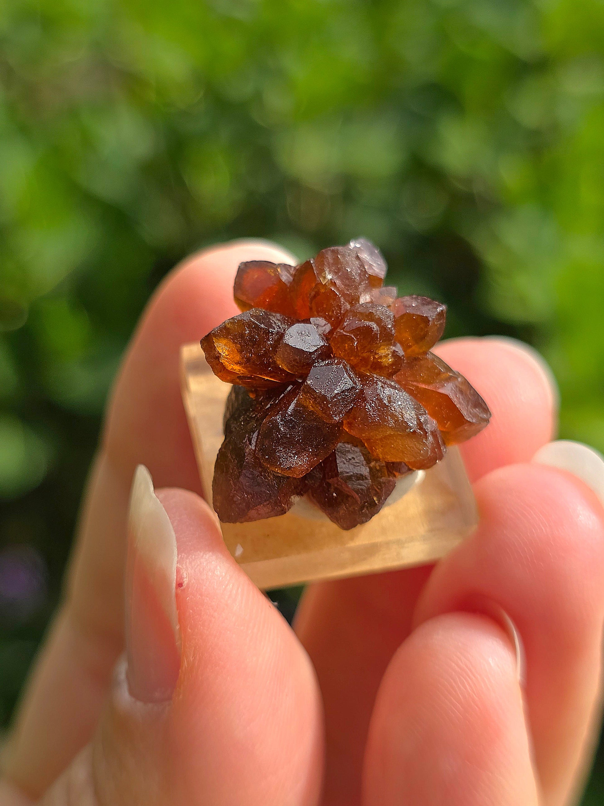 Quartz "citrine" ou "fleur de citrine" du Maroc