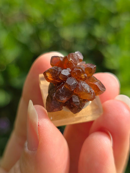 Quartz "citrine" ou "fleur de citrine" du Maroc