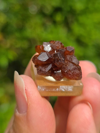 Quartz "citrine" ou "fleur de citrine" du Maroc