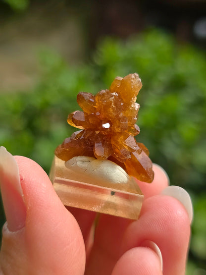 Quartz "citrine" ou "fleur de citrine" du Maroc