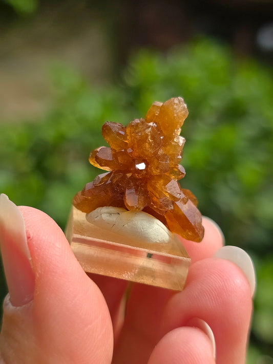 Quartz "citrine" ou "fleur de citrine" du Maroc