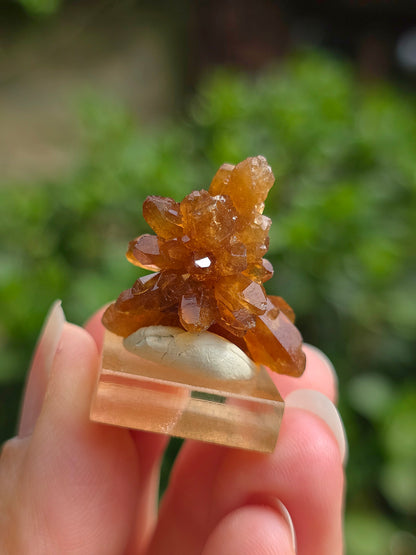 Quartz "citrine" ou "fleur de citrine" du Maroc