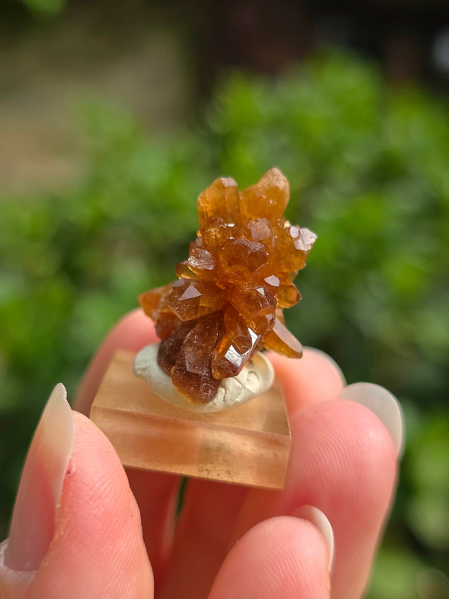 Quartz "citrine" ou "fleur de citrine" du Maroc