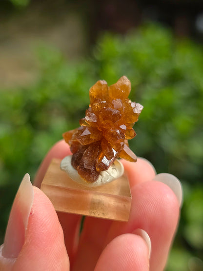 Quartz "citrine" ou "fleur de citrine" du Maroc