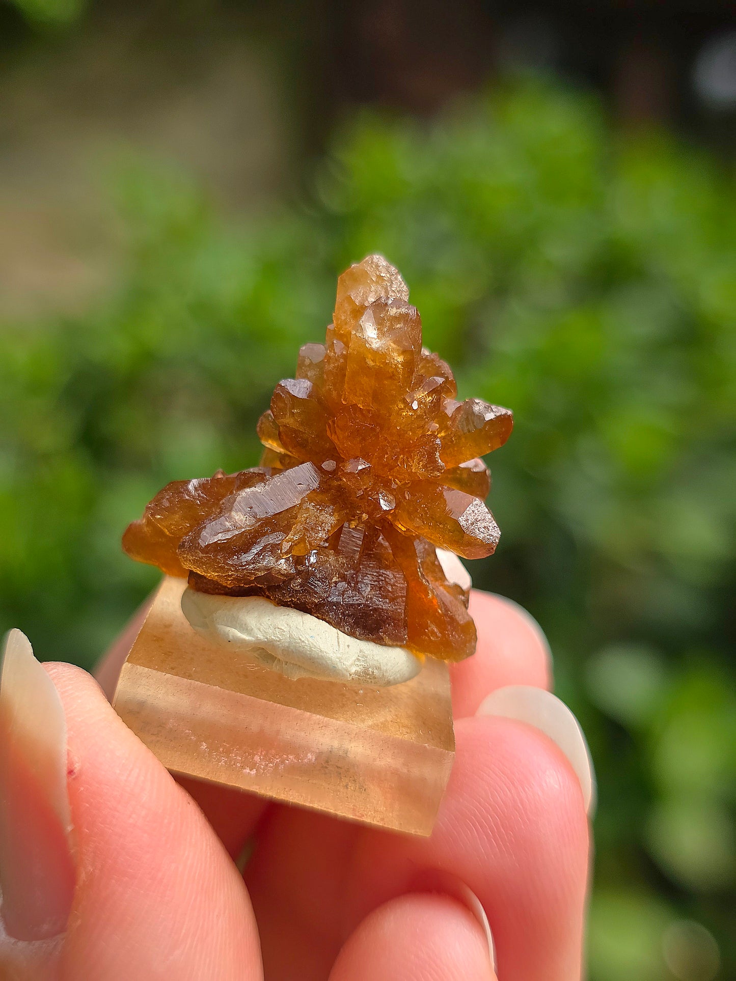 Quartz "citrine" ou "fleur de citrine" du Maroc
