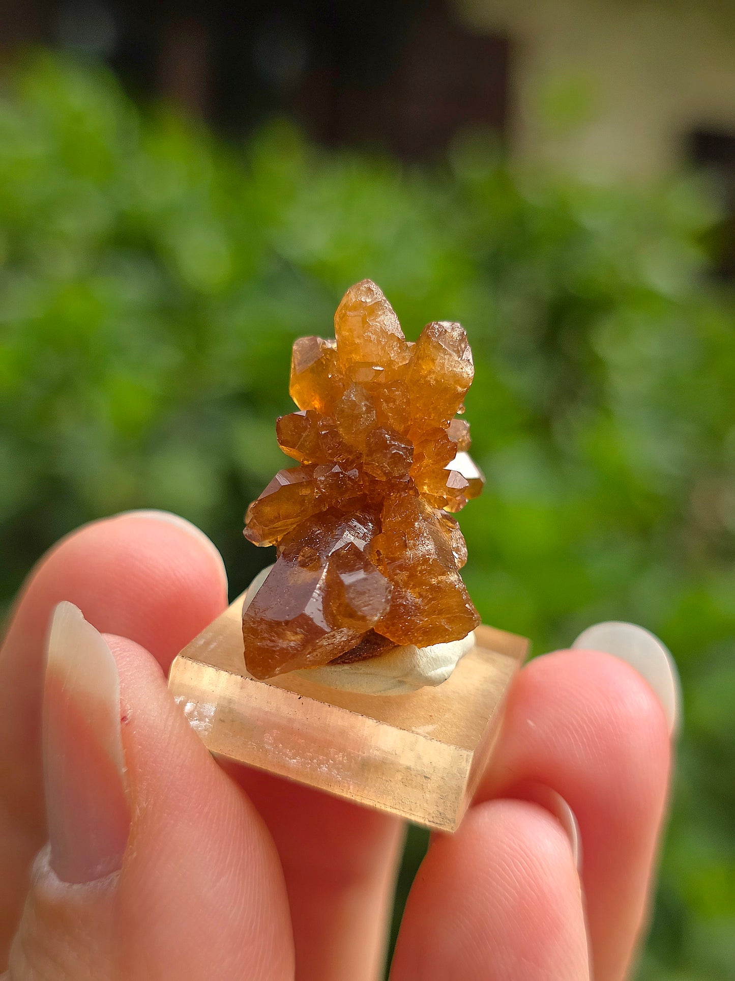 Quartz "citrine" ou "fleur de citrine" du Maroc