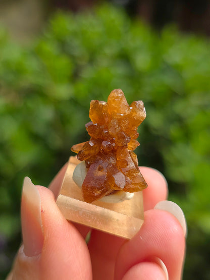 Quartz "citrine" ou "fleur de citrine" du Maroc