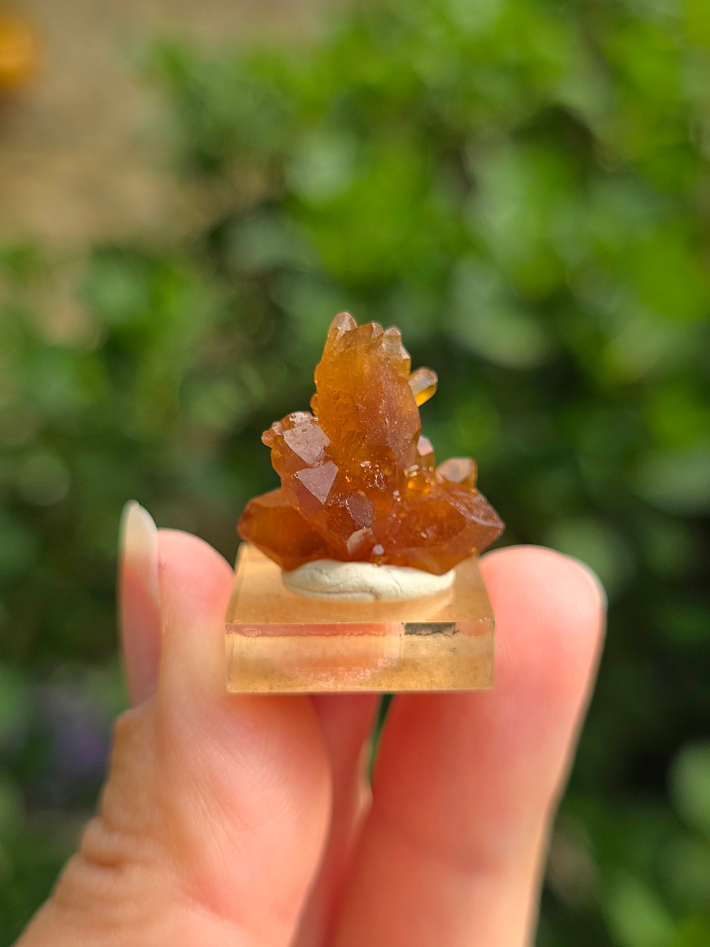 Quartz "citrine" ou "fleur de citrine" du Maroc