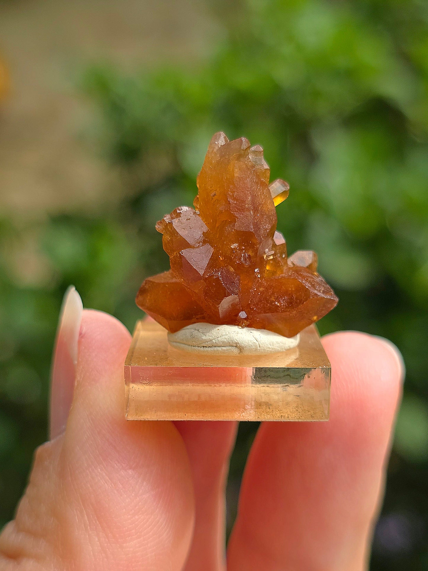 Quartz "citrine" ou "fleur de citrine" du Maroc