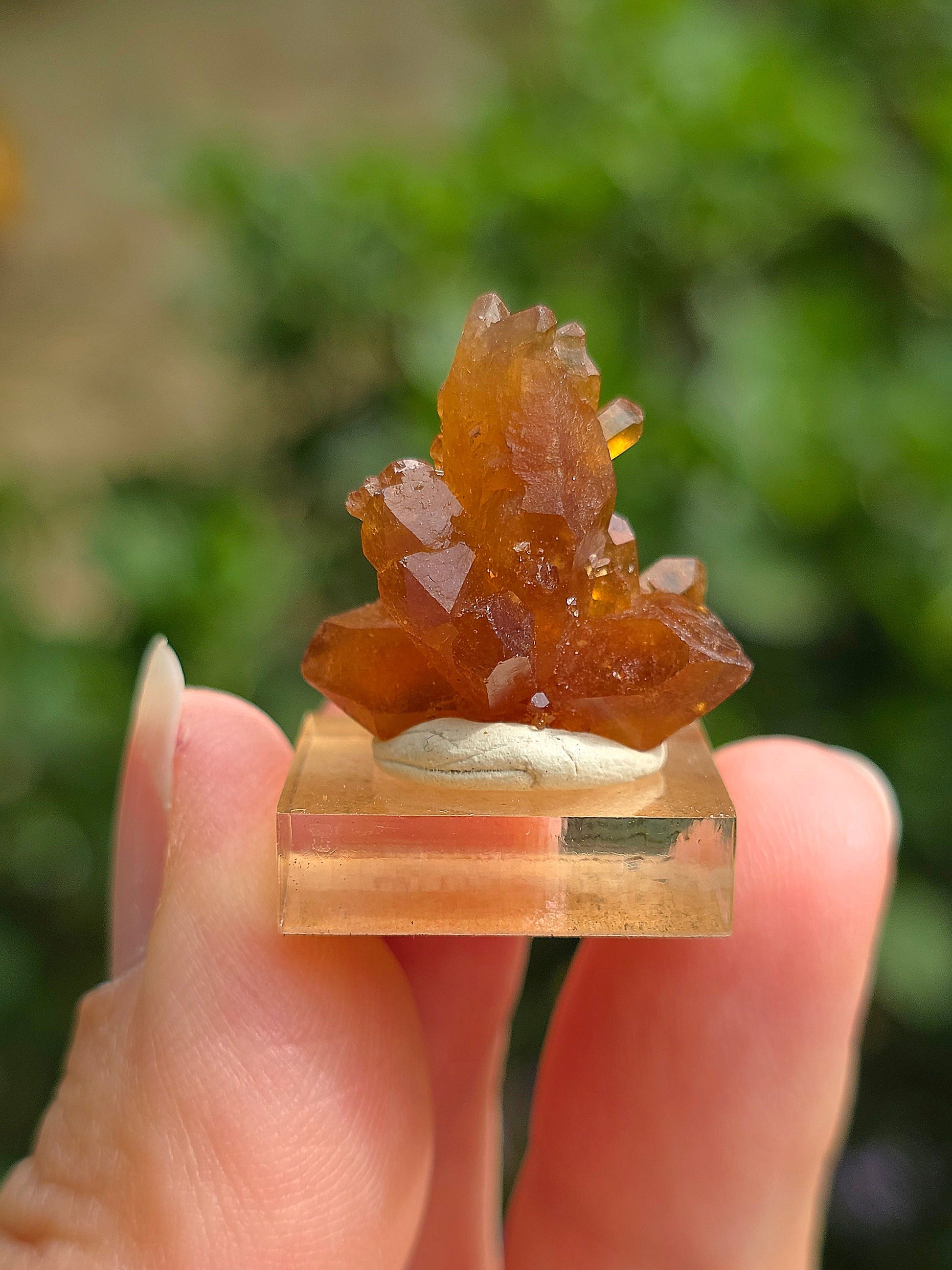 Quartz "citrine" ou "fleur de citrine" du Maroc